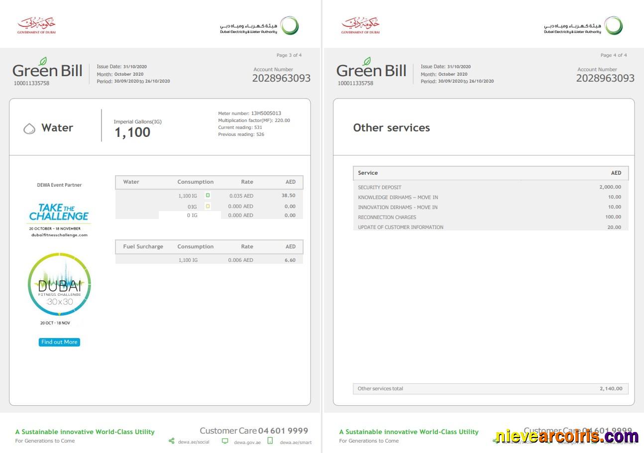 United Arab Emirates Dubai Electricity & Water Authority utility bill 4 pages 3 4